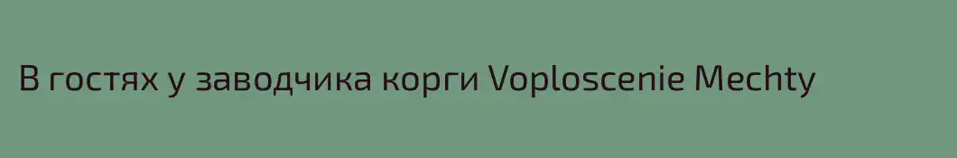 В гостях у заводчика корги Voploscenie Mechty